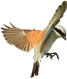 Logo Steil Landschaftsplanung
